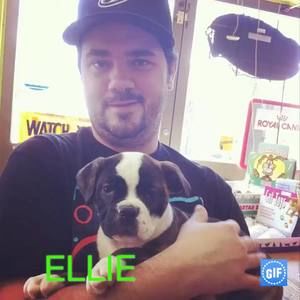 Meet your Posher, Andrea